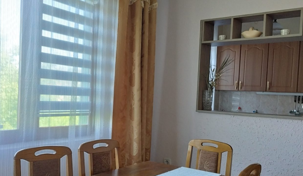 Apartmani Savić Sokobanja (11)