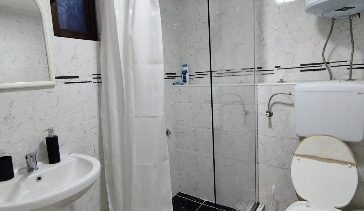 Apartmani Savić Sokobanja (13)