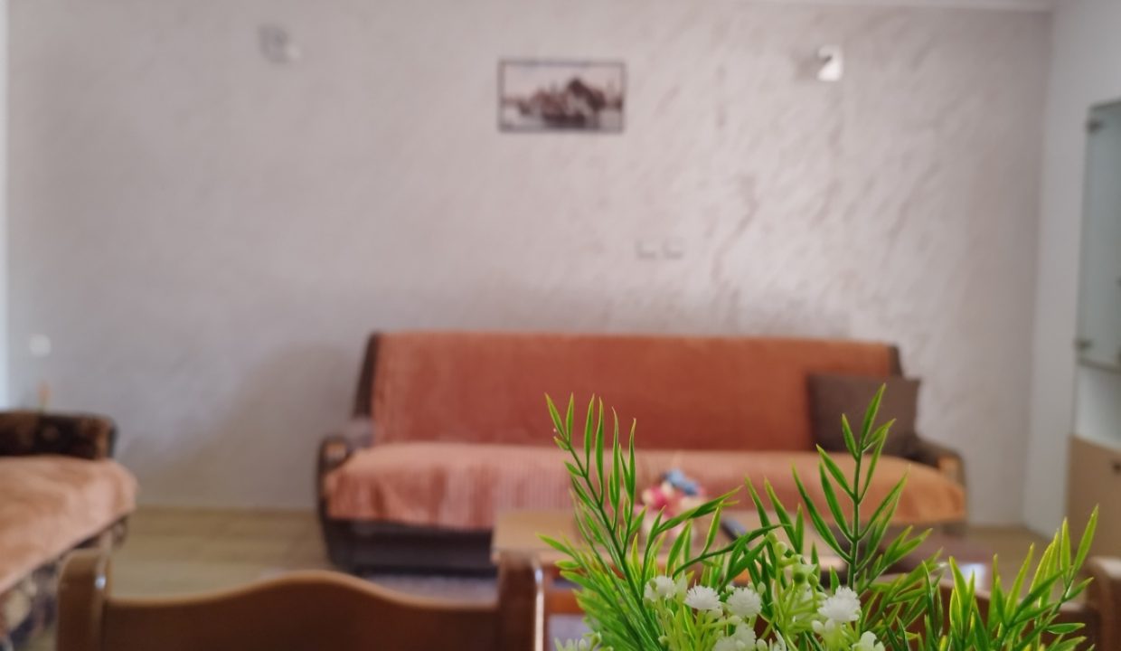 Apartmani Savić Sokobanja (2)