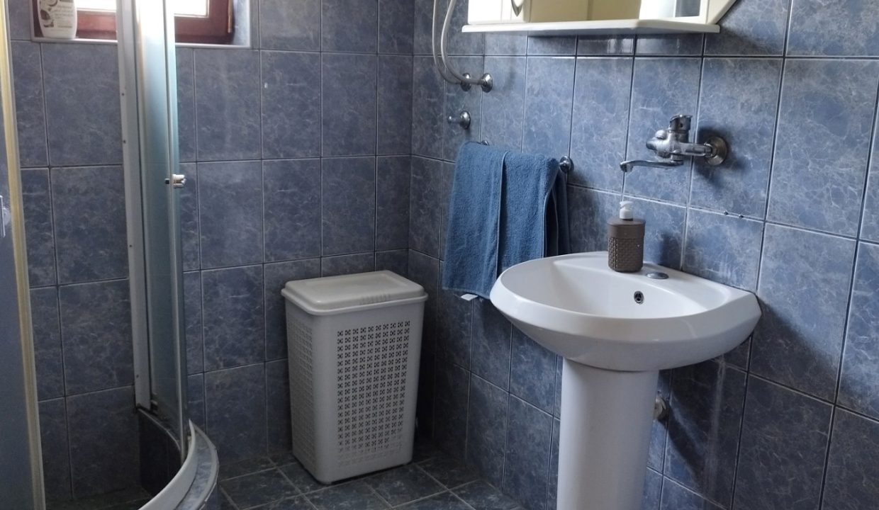 Apartmani Savić Sokobanja (8)