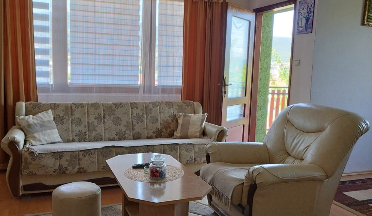 Apartmani Savić Sokobanja (9)